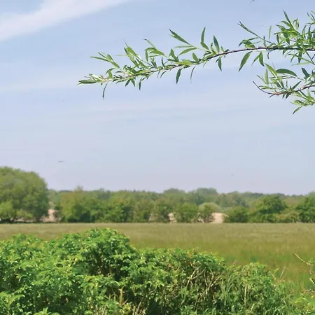 Vibevaenget I Nordenbro Vesteregn